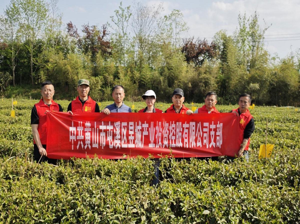 昱城產(chǎn)投公司黨支部開展“茶香潤初心，黨旗映茶園”主題黨日活動