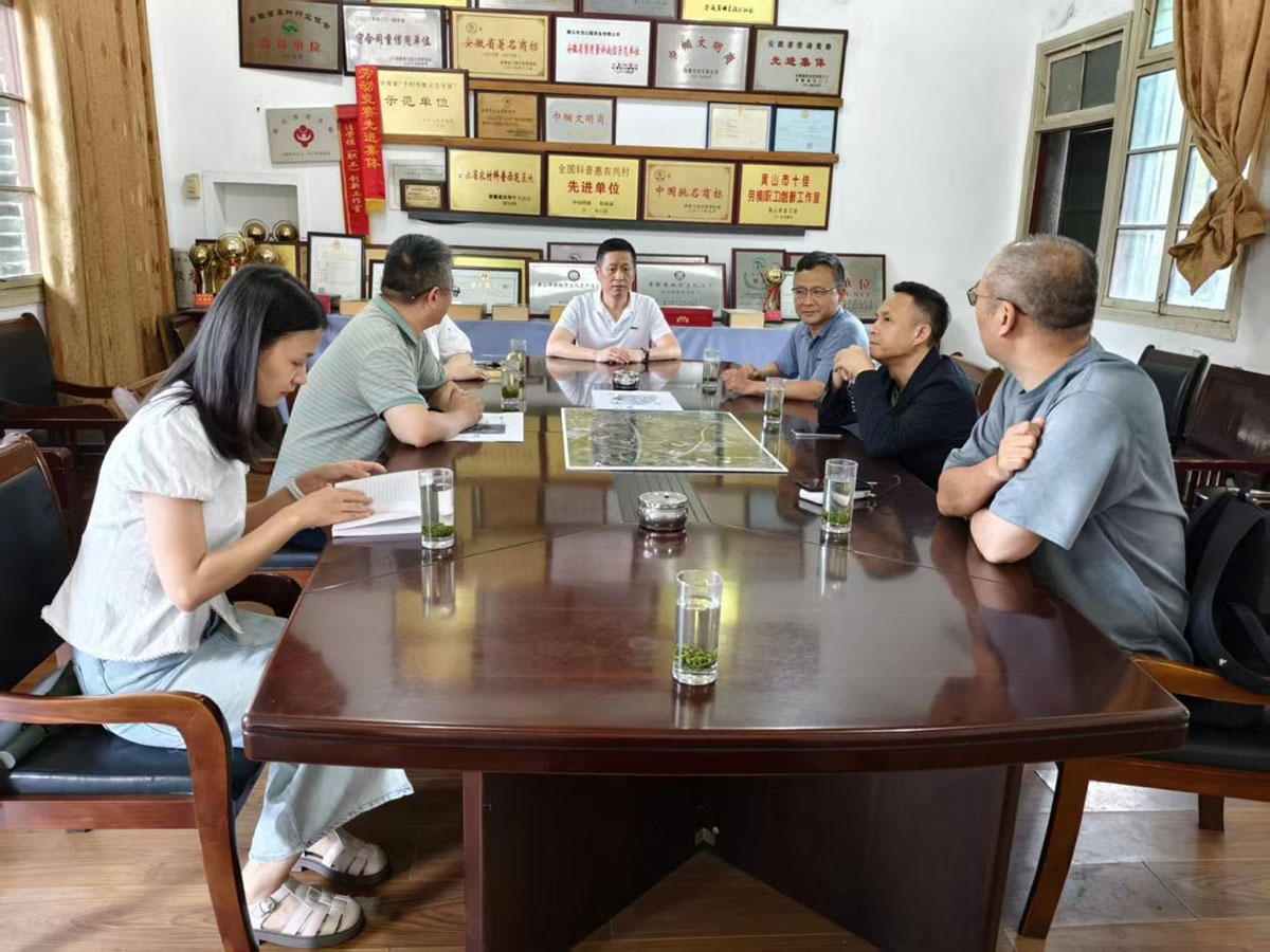 江蘇外聯(lián)采考察團(tuán)到實(shí)驗(yàn)茶場(chǎng)考察，共商茶產(chǎn)業(yè)合作新藍(lán)圖