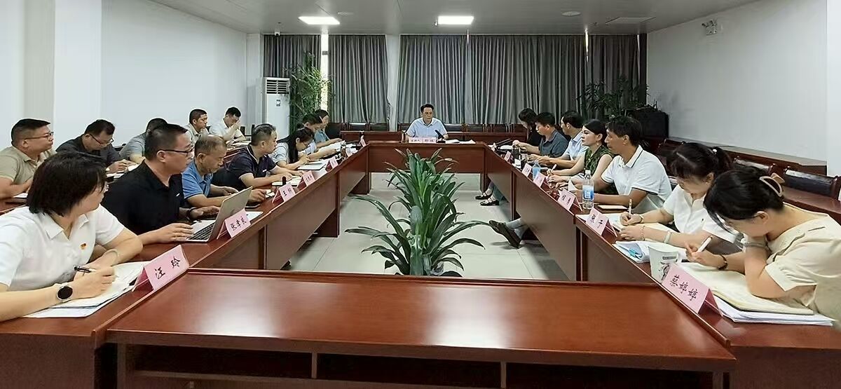 區(qū)國投集團(tuán)召開審計工作推進(jìn)會